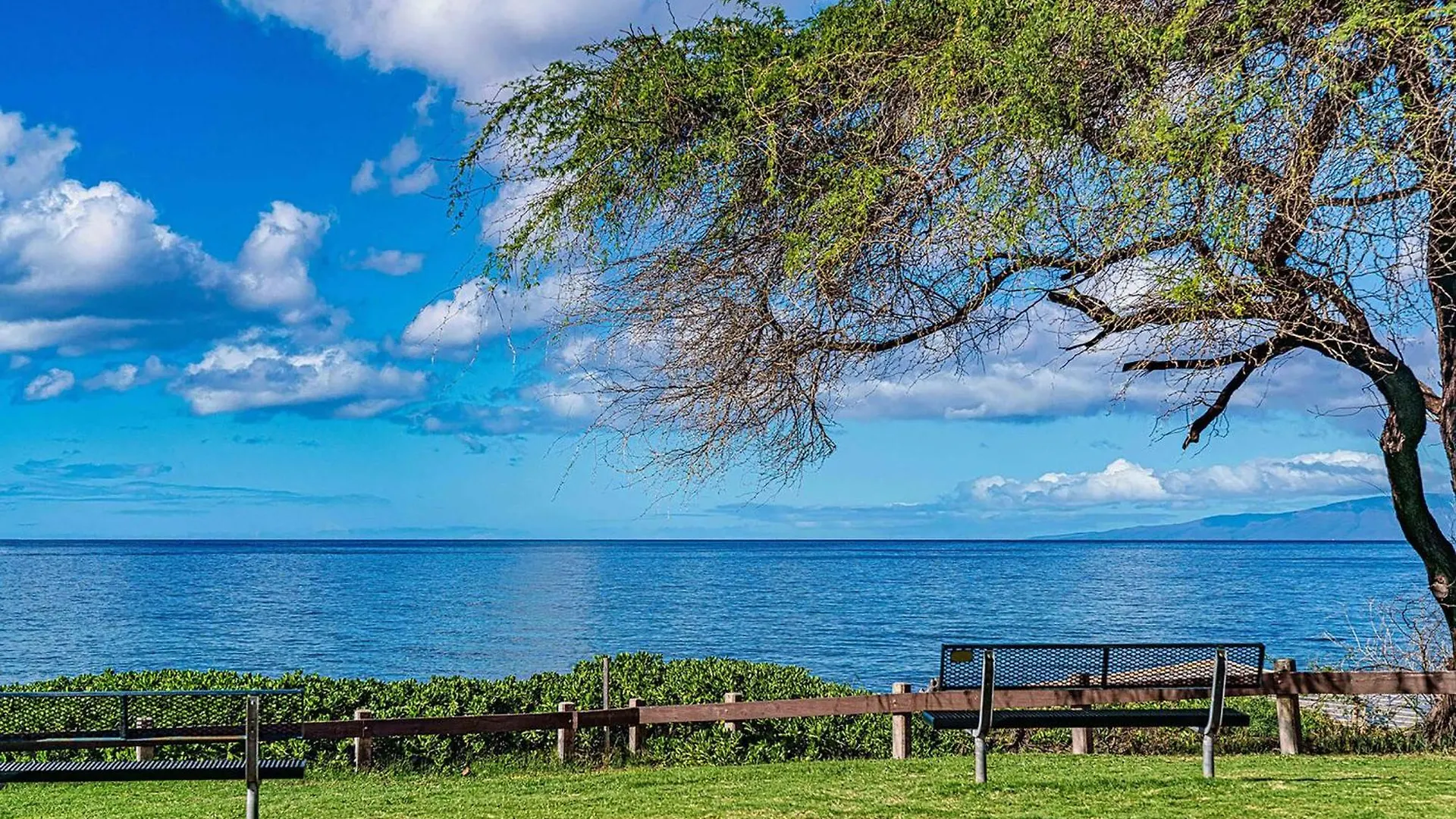 Maui Parkshore 307 - Stunning Remodel, Ocean Views Wailea  Vakantiehuis Wailea (Maui)